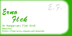 erno flek business card